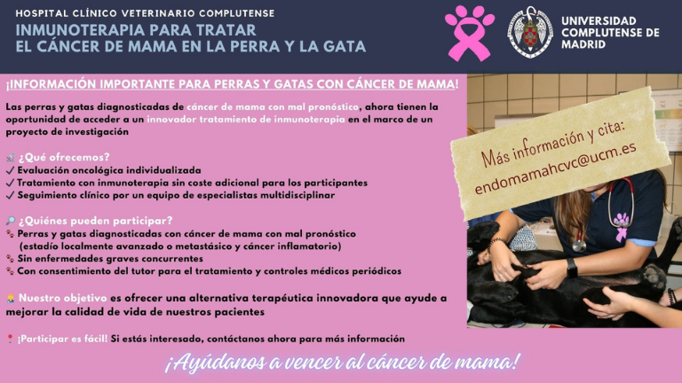 Inmunoterapia para tratar el cáncer de mama en perras y gatas